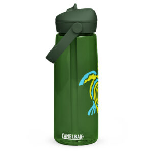 Zen Turtle Camelbak Flip